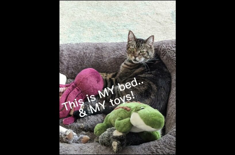 Spoiled-much